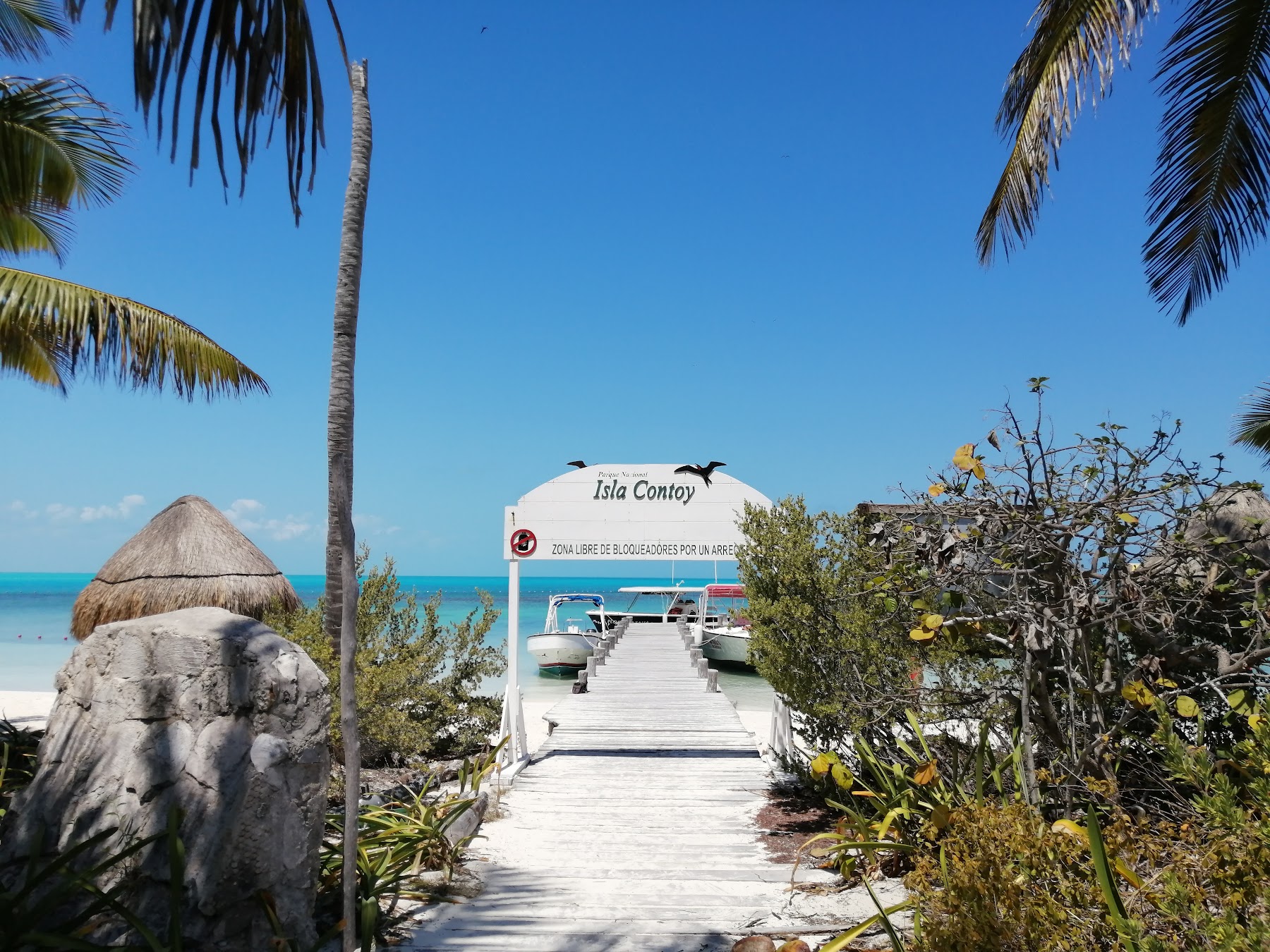 Isla Contoy, Cancún