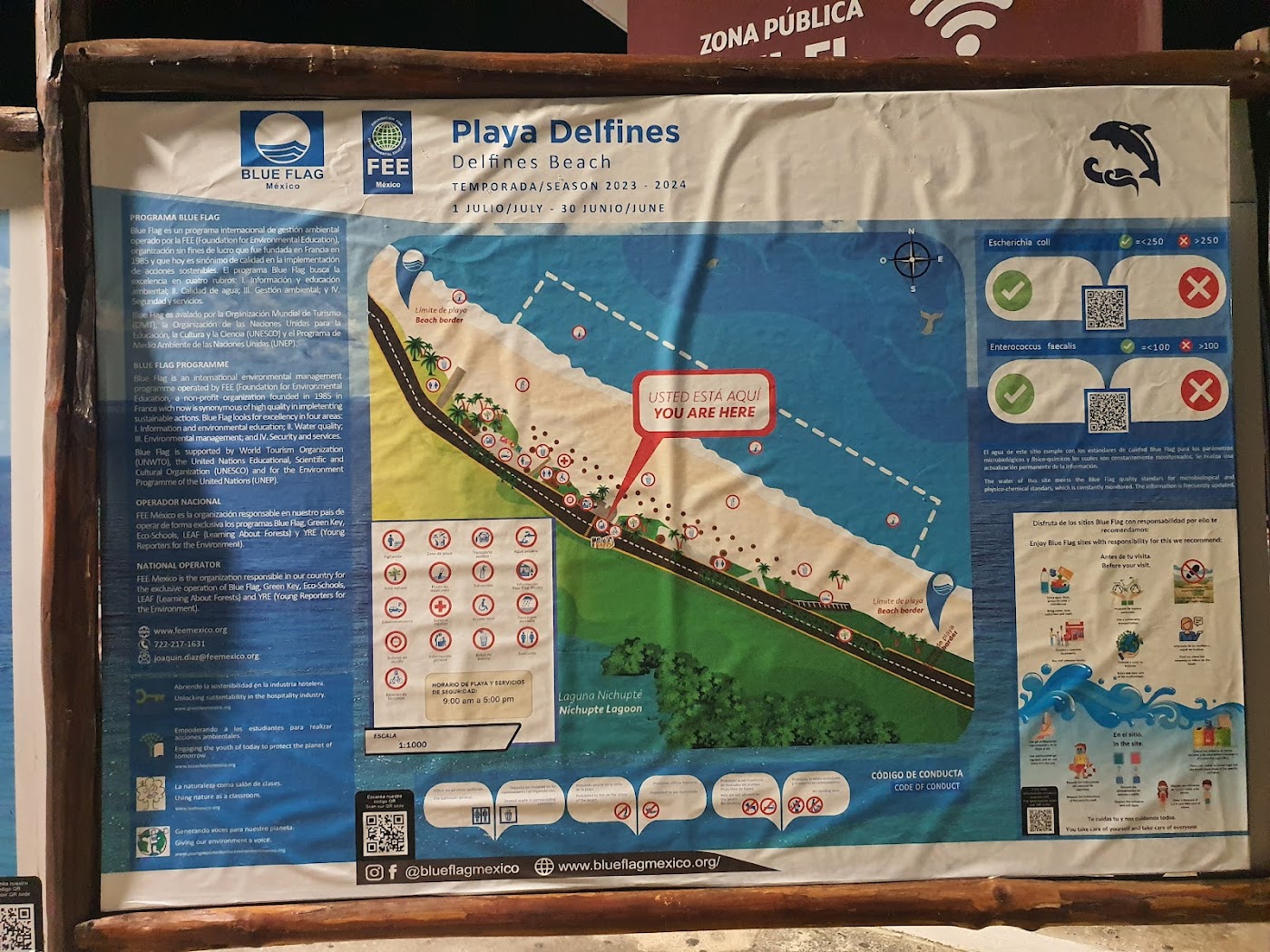 Playa Delfines y El Mirador, Cancún