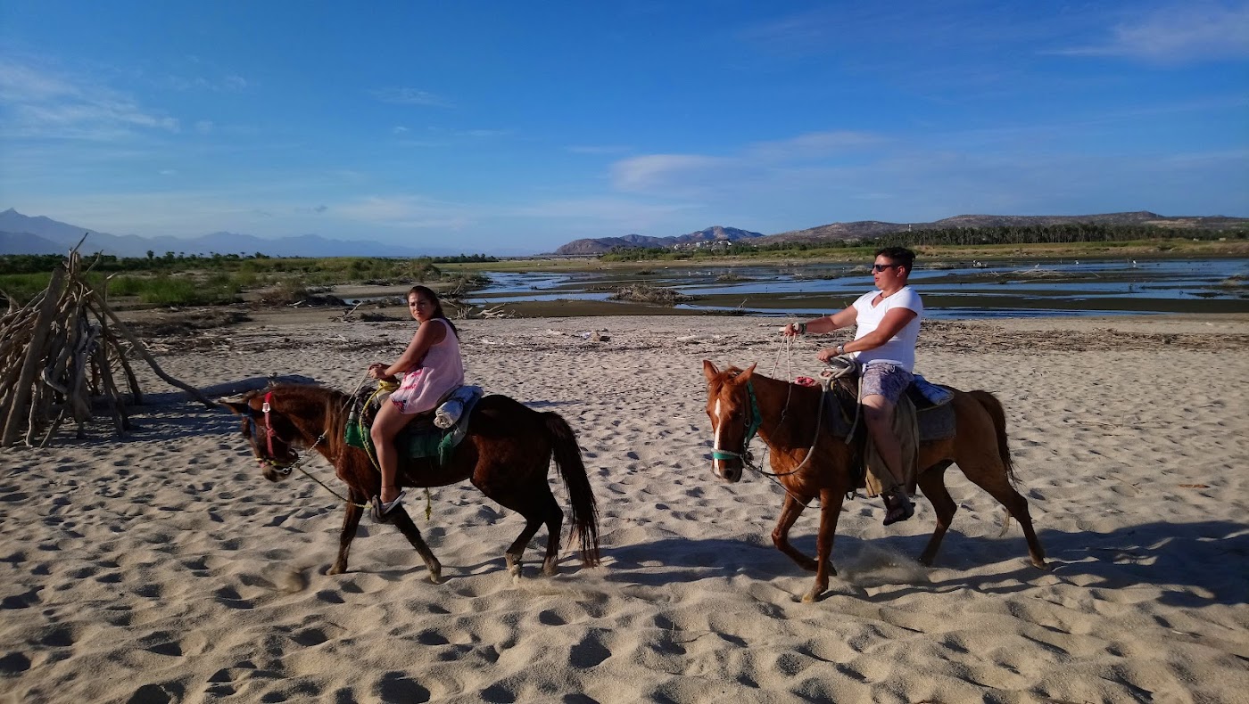 Estero de San José del Cabo, Los Cabos