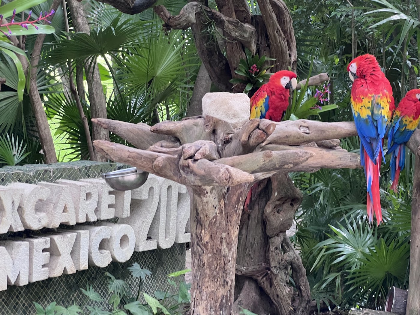 Xcaret, Playa del Carmen