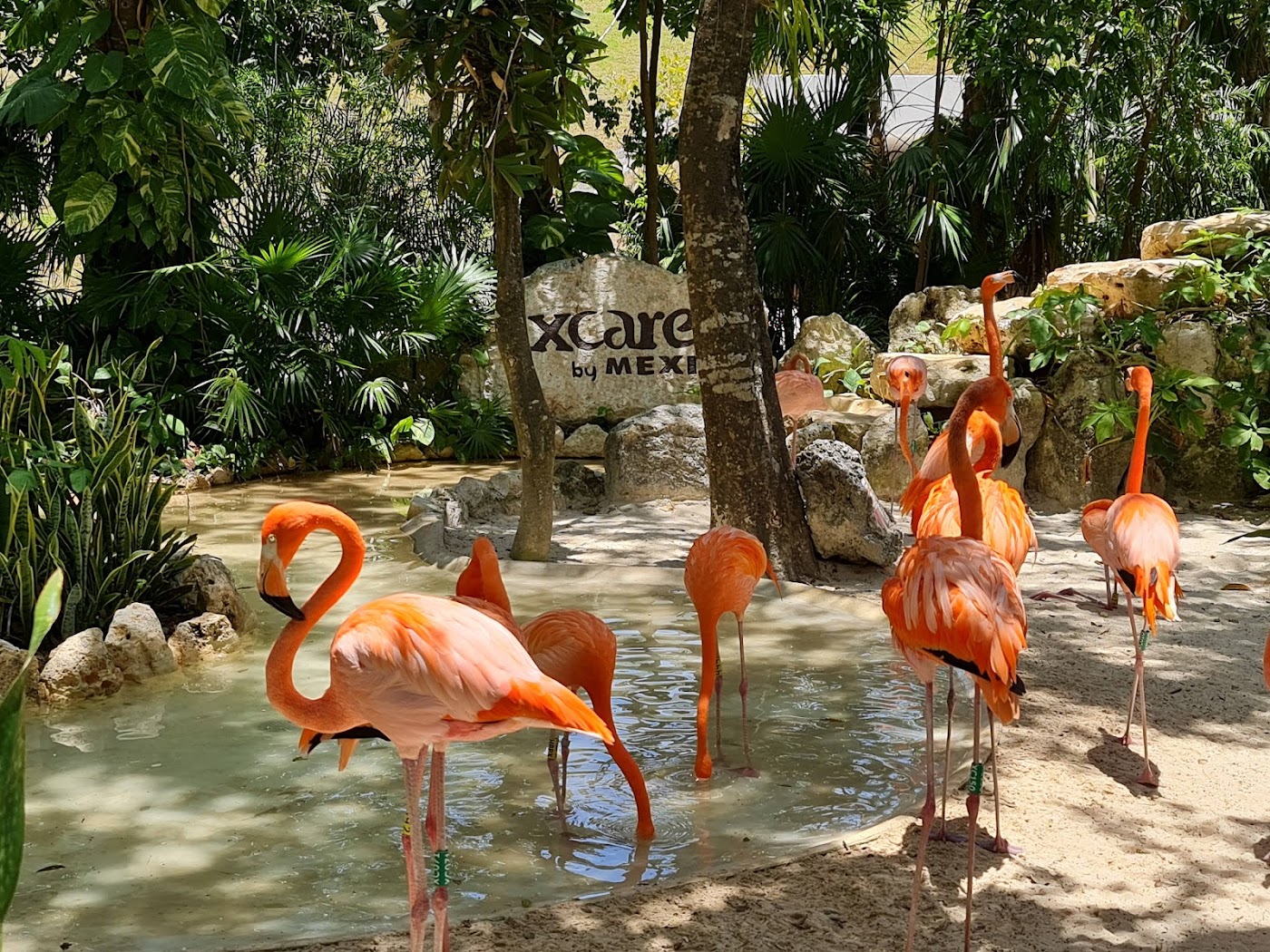 Xcaret, Playa del Carmen